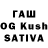 APVP VHQ Ina Rutenberg