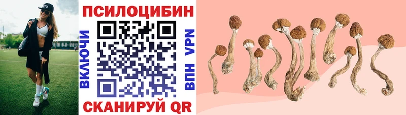 Галлюциногенные грибы мицелий  Спасск-Рязанский 